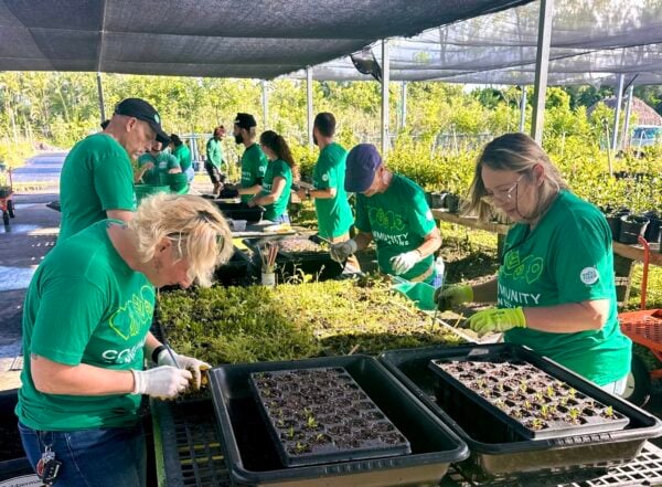 Tree Nursery Volunteer Day 2